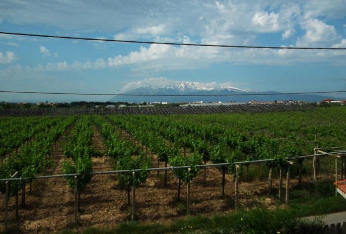 Bonaventura B&B And Bonaventura Food Tollo Εξωτερικό φωτογραφία