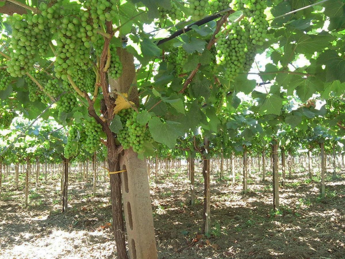 Bonaventura B&B And Bonaventura Food Tollo Εξωτερικό φωτογραφία
